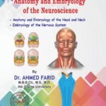Anatomy and Embryology of the Neuroscience (Head and Neck)