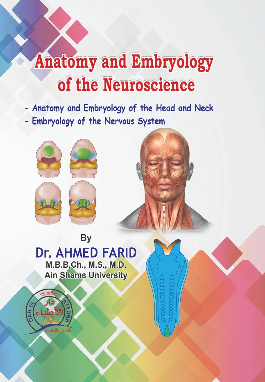 201816810 Anatomy and Embryology of the Neuroscience (Head and Neck) - Image 1