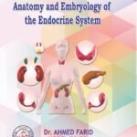 Anatomy and Embryology of the Endocrine System