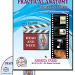 Easy Practical  Anatomy HEAD AND NECK + CD