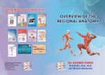 Overview of the Regional Anatomy