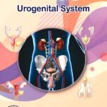 Anatomy and Embryology of the Urogenital System