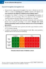 The Art of Diabetes Management (Synopsis of Diabetes Secrets) 2nd Edition - Image 6