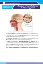 Synopsis of Endocrinology 2nd Edition - Image 8
